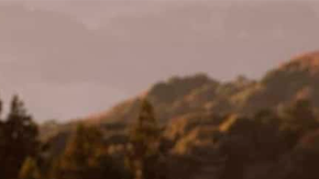 Toyota GR86 Outroad por Kuhl Racing tiene barras de luces y neumáticos todoterreno.