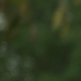 Estados Unidos cada año sufre más con el tráfico en sus principales ciudades.