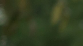 Estados Unidos cada año sufre más con el tráfico en sus principales ciudades.