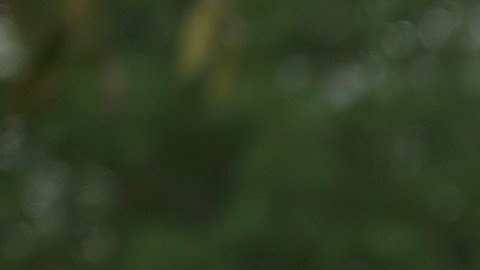 Estados Unidos cada año sufre más con el tráfico en sus principales ciudades.