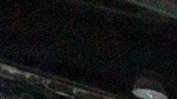 VinFast se establece como fabricante de autos eléctricos en EEUU