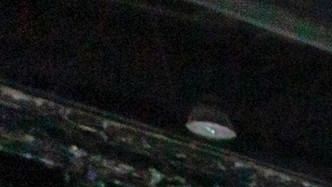 VinFast se establece como fabricante de autos eléctricos en EEUU