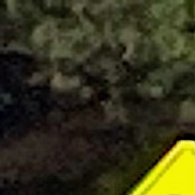 Waymo tiene miles de vehículos de conducción autónoma.