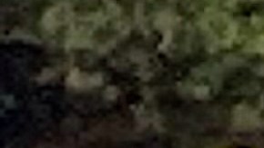 Waymo tiene miles de vehículos de conducción autónoma.