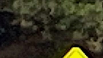 Waymo tiene miles de vehículos de conducción autónoma.