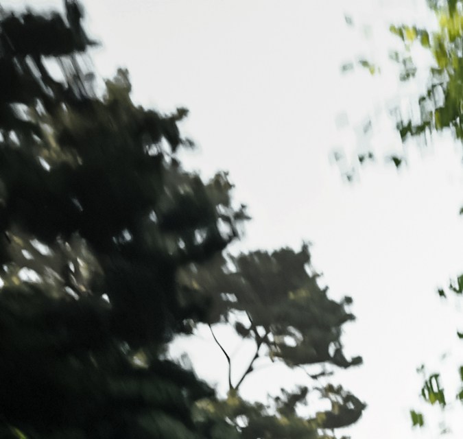 Bugatti FKP Hommage tiene una velocidad máxima por más de 200 mph.