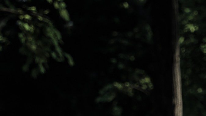 Bugatti FKP Hommage es un homenaje al Veyron.