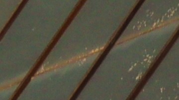 BYD se consagra como líder del mercado de autos eléctricos en el mundo.