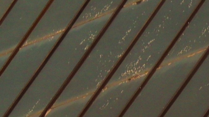 BYD se consagra como líder del mercado de autos eléctricos en el mundo.