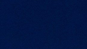 Camioneta Ford F-150 Tremor azul oscuro sobre plataforma blanca con barreras en el 125º Salón del Automóvil de Nueva York en el Javits Center. Fondo con pantalla de Sparks Welder Robuste Performance en interiores.