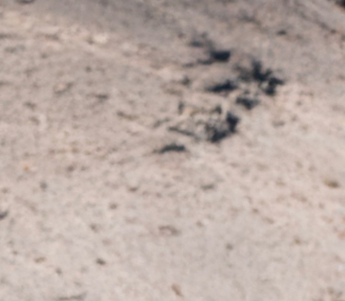 Ram TRX 2027 llega con todo.