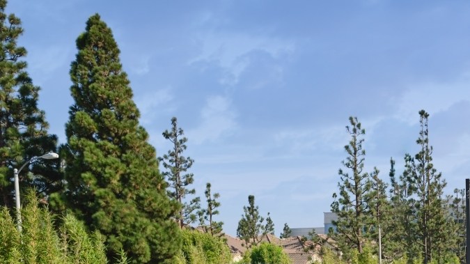 Sedán Genesis negro estacionado junto a SUVs Genesis en exterior arbolado, vista lateral, autos de lujo coreanos, diseño premium, foto promocional de la marca.