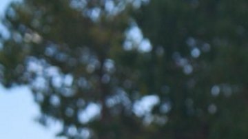 Taycan GTS rojo estacionado en fila de autos deportivos Porsche frente al centro de manejo en México, con vegetación y arquitectura moderna.