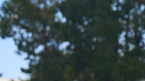 Taycan GTS rojo estacionado en fila de autos deportivos Porsche frente al centro de manejo en México, con vegetación y arquitectura moderna.