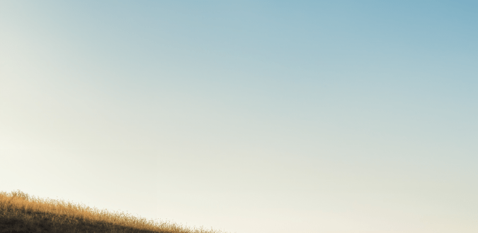 Subaru WRX 2026 rojo en circuito, sedán deportivo turbo con tracción integral y diseño agresivo, rodando a alta velocidad en pista de pruebas.