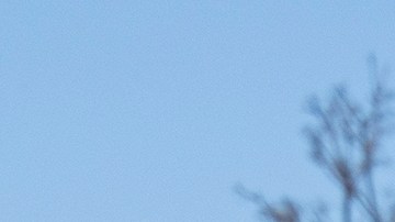 Los autos eléctricos son costosos en comparación con los de gasolina.