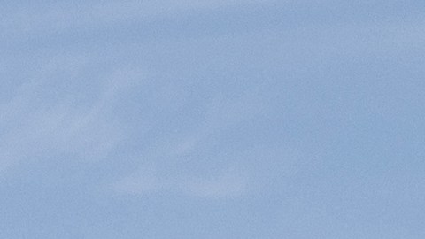 Exhibición de automóviles usados en un concesionario. Con problemas de Precios, los automóviles usados y de segunda mano tienen una gran demanda