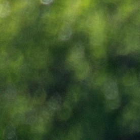 Broadview Illinois USA 11 de octubre de 2025 Protesta en el centro de detención ICE