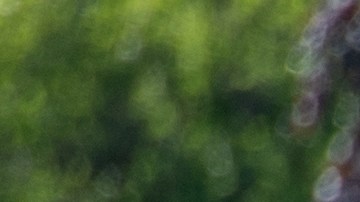 Broadview Illinois USA 11 de octubre de 2025 Protesta en el centro de detención ICE