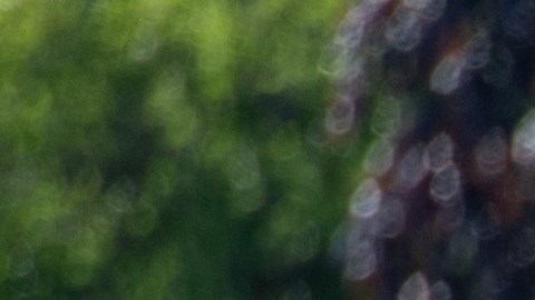 Broadview Illinois USA 11 de octubre de 2025 Protesta en el centro de detención ICE