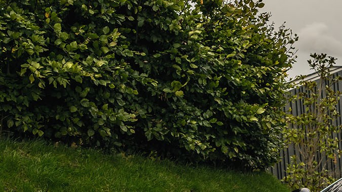 Caterham Project V es uno de los autos eléctricos más esperados.