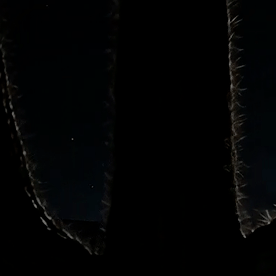 DarkSky One es una propuesta futurista.