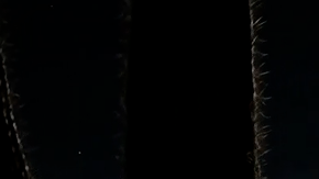 DarkSky One es una propuesta futurista.