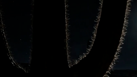 DarkSky One es una propuesta futurista.