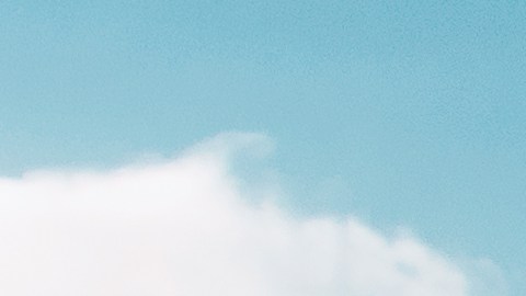 Ford Fusion se vendió hasta 2020.