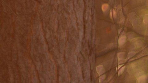 Hyundai Palisade es bastante vendida en Estados Unidos.