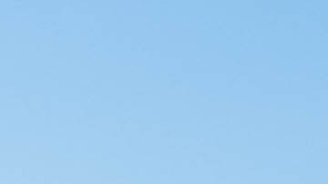 Wilkins Township, Pennsylvania, EE.UU. 12 de noviembre de 2023 Carros usados y camiones a la venta en un concesionario en un soleado día de otoño