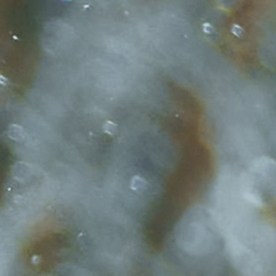 Muchos autos pueden fallar en la nieve.