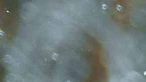 Muchos autos pueden fallar en la nieve.