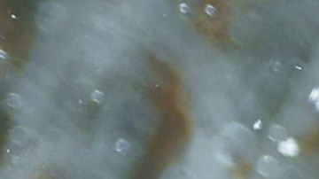 Muchos autos pueden fallar en la nieve.