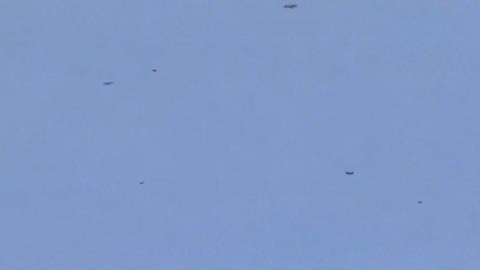 Honda NSX Tribute by Italdesign su costo será alrededor del millón de dólares.