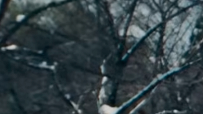 Subaru WRX STI Sport Prototype conserva el mismo motor.