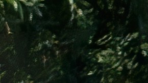 Toyota MR2 fue uno de los grandes deportivos japoneses.