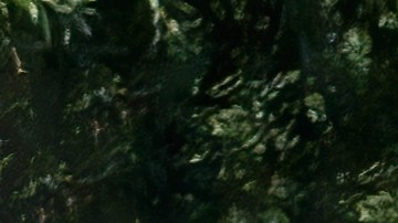 Toyota MR2 fue uno de los grandes deportivos japoneses.