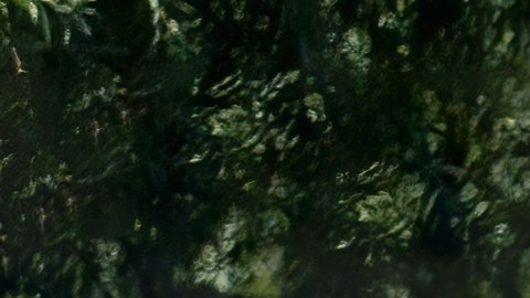 Toyota MR2 fue uno de los grandes deportivos japoneses.