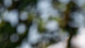 Toyota Tacoma 2026 ganó el premio Truck of Texas.