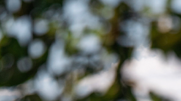 Toyota Tacoma 2026 ganó el premio Truck of Texas.