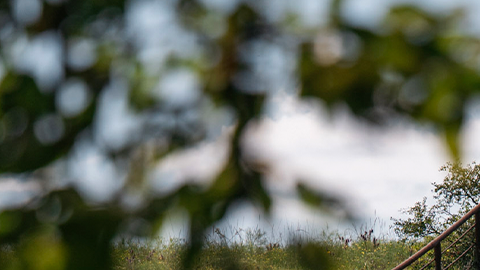 Toyota Tacoma 2026 ganó el premio Truck of Texas.