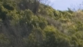 Toyota FJ Cruiser naranja en terreno off-road elevado, capacidad todoterreno SUV japonés legendario en acción.