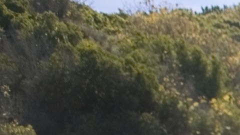 Toyota FJ Cruiser naranja en terreno off-road elevado, capacidad todoterreno SUV japonés legendario en acción.