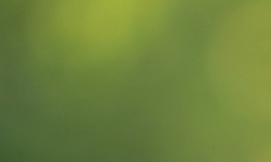 Insignia Chrysler Pacifica 2024