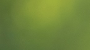 Insignia Chrysler Pacifica 2024