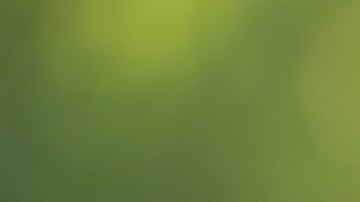 Insignia Chrysler Pacifica 2024