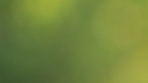 Insignia Chrysler Pacifica 2024