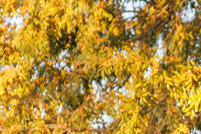 Nissan Rogue Plug-in Hybrid 2026 es ideal para largos viajes.