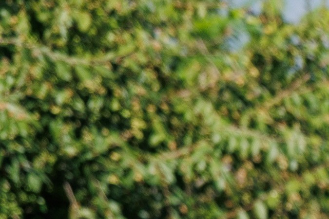 Nissan Rogue Plug-in Hybrid 2026 tiene un diseño moderno.